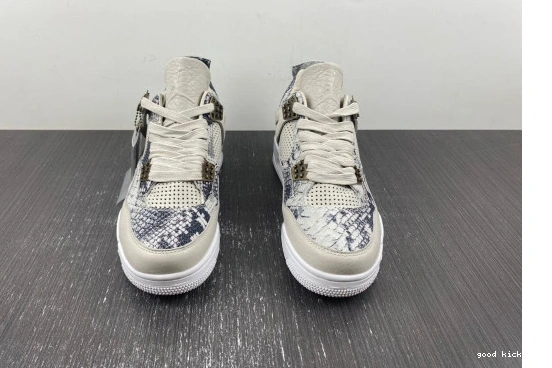  Retro Jordan  819139-030 4  Snakeskin 819139-030 0227